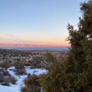 Meet your Posher, Maycie